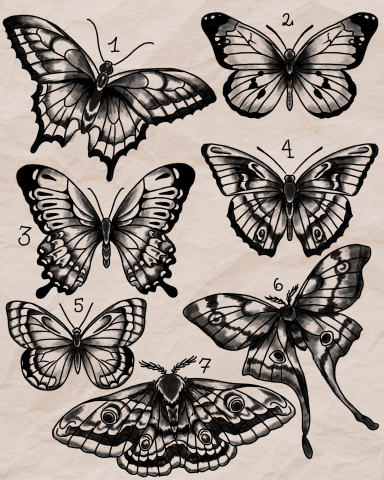 Tag- und Nachtfalter